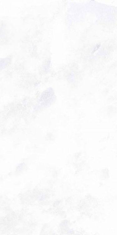 Archisalt Flower Of Salt Lux 12 x 24